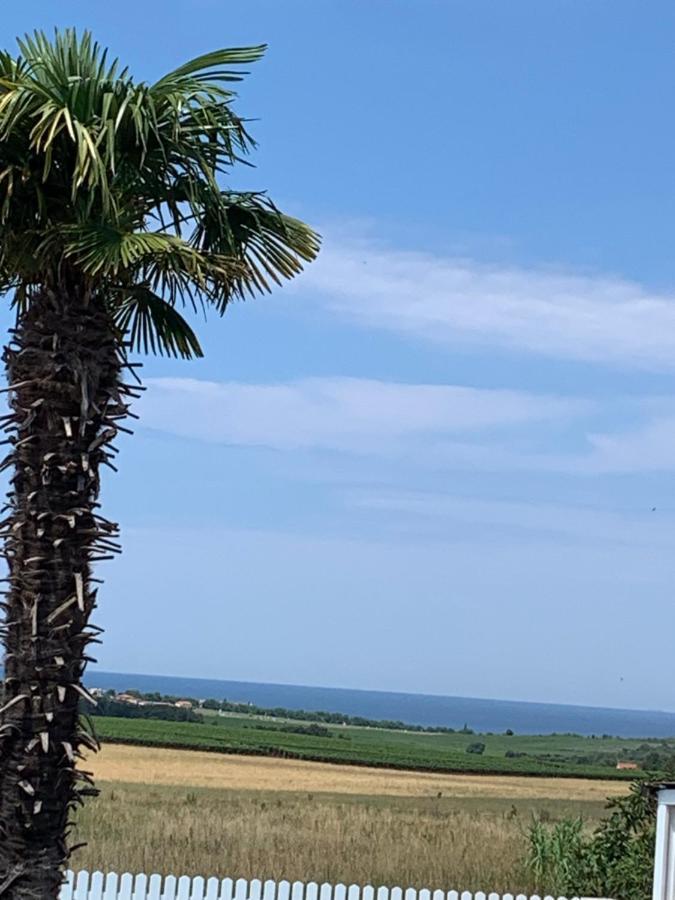 Haus Sunshine Βίλα Novigrad Istria Εξωτερικό φωτογραφία