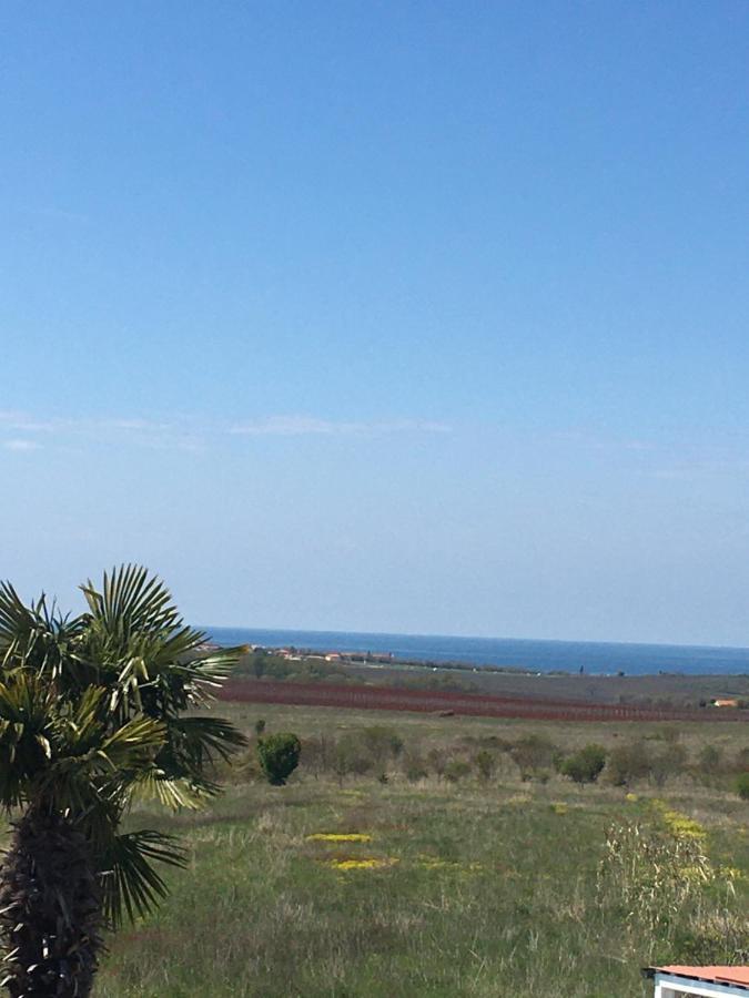 Haus Sunshine Βίλα Novigrad Istria Εξωτερικό φωτογραφία